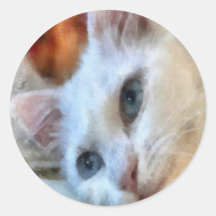 Sticker Rond Portrait de Van Cat With Blue Eyes