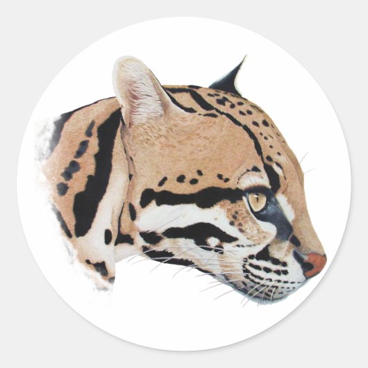 Sticker Rond Portrait d'occelot (Devant)