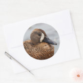 Sticker Rond Portrait d'un Turquoise ailé bleu (Enveloppe)