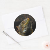 Sticker Rond Portrait d'une Iguana (Enveloppe)