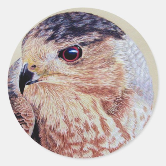 Sticker Rond Portrait Hawk Coopers (Devant)