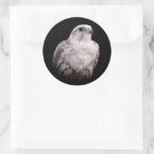 Sticker Rond Portrait signé d'un faucon de Saker curieux (Sac)