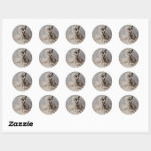 Sticker Rond Posé en Pointe (Feuille)