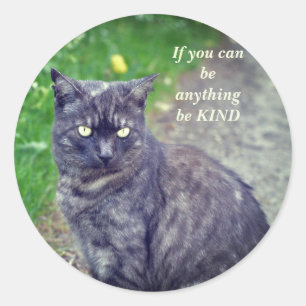 Sticker Rond Poser un chat sur une marche Motivationnelle