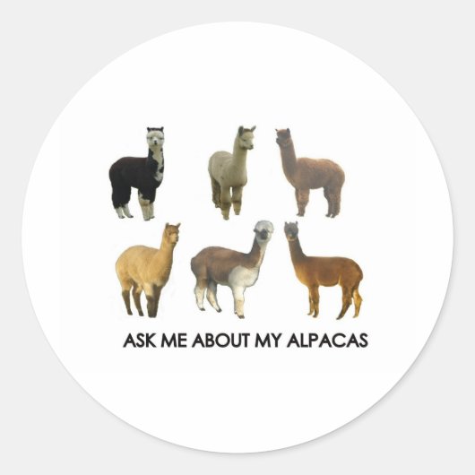 Sticker Rond Posez-moi des questions sur mes alpacas (Devant)