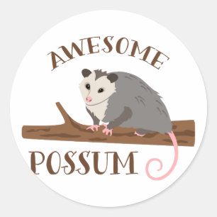 Sticker Rond Possum génial