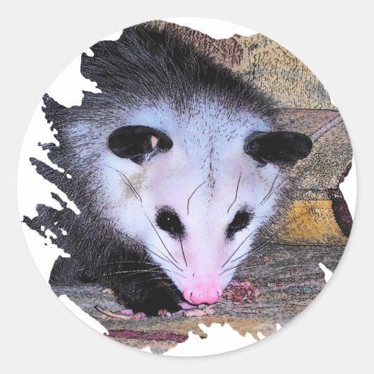 Sticker Rond Possum Opossum (Devant)