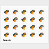 Sticker Rond Post-it Notes perroquet (Feuille)