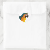 Sticker Rond Post-it Notes perroquet (Sac)