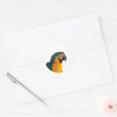 Sticker Rond Post-it Notes perroquet (Enveloppe)
