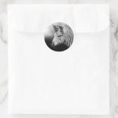 Sticker Rond Poster de Zebra Foal (Sac)