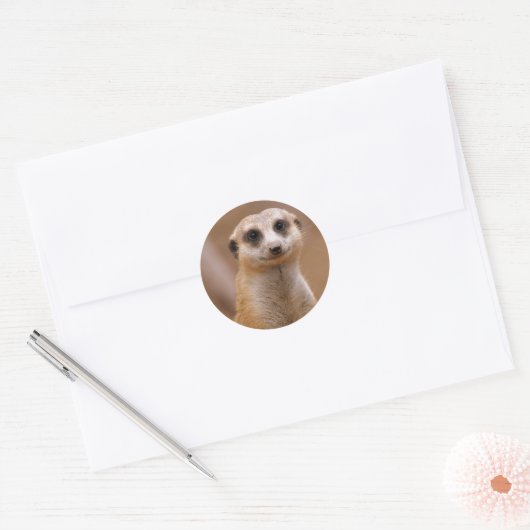 Sticker Rond Poster Meerkat (Enveloppe)