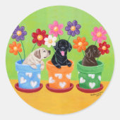 Sticker Rond Pot à fleurs Labrador Chiots (Devant)
