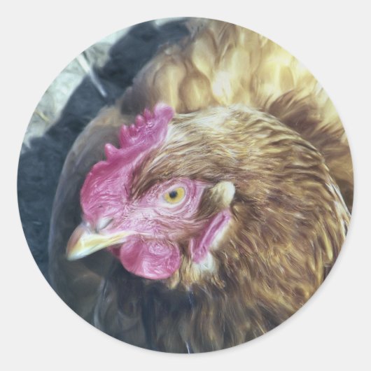 STICKER ROND POULET (Devant)