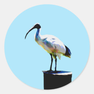 Sticker Rond Poulet À Bin, Peinture À Huile Ibis,