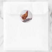 STICKER ROND POULET DANS LE PASTEL D'HUILE (Sac)