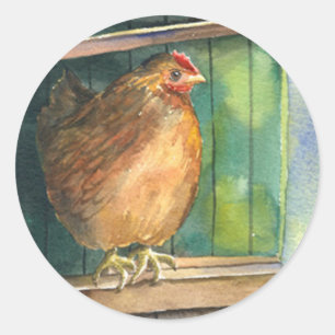 Sticker Rond Poulet de basse-cour