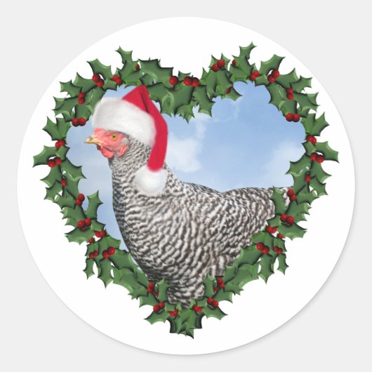 Sticker Rond Poulet de Noël * Barred Rock (Devant)