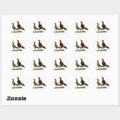 Sticker Rond Poulets à roue d'Aseel (Feuille)
