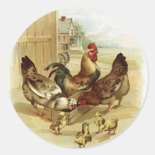 Sticker Rond Poulets de la ferme d'art vintage (Devant)