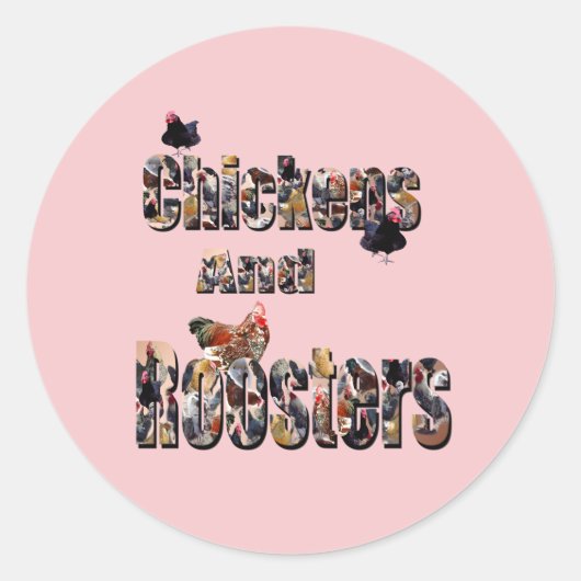 Sticker Rond Poulets Et Coqs, (Devant)