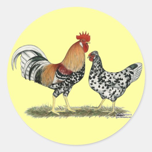 Sticker Rond Poulets islandais (Devant)