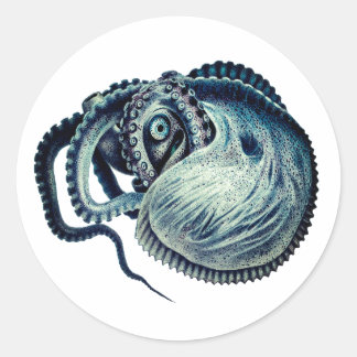 Sticker Rond Poulpe Calmar Nautilus Argonaute