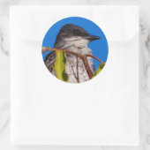 Sticker Rond Pourcentage avien : Kingbird oriental (Sac)