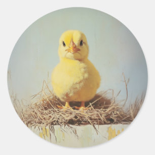 Sticker Rond Poussette grincheuse dans le nid