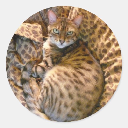 Sticker Rond Pouvez-vous me voir ? (Devant)