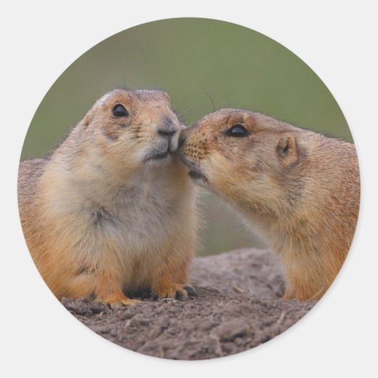 Sticker Rond prairie (Devant)