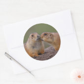 Sticker Rond prairie (Enveloppe)