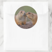 Sticker Rond prairie (Sac)