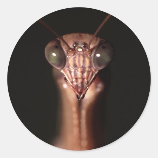 Sticker Rond praytis (Devant)