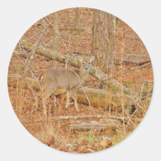 Sticker Rond Premier hiver du Cerf de Bébé