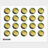 Sticker Rond Première Scovie de la saison (Feuille)
