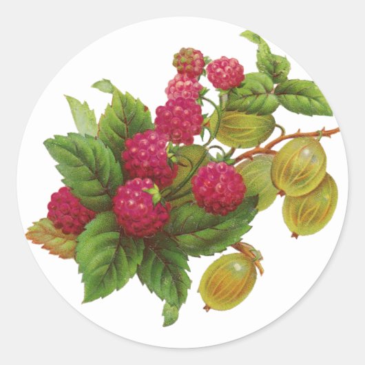 STICKER ROND PRÉSERVE DE FRUITS ROUGES / RASPBERRIES (Devant)
