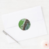 Sticker Rond Prier Insecte Mantis (Enveloppe)