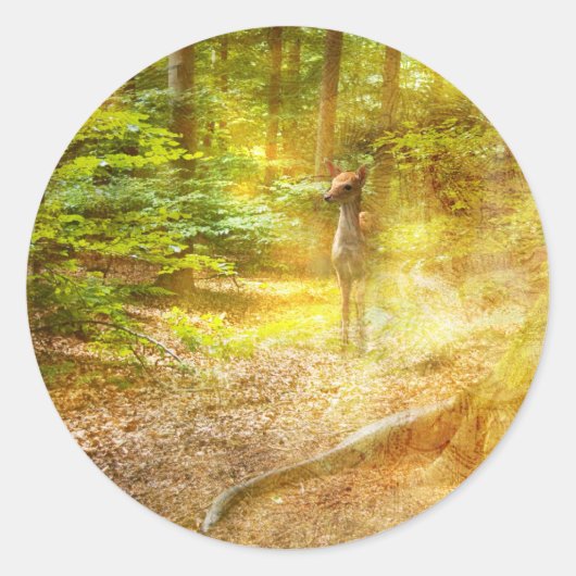 Sticker Rond Prière pour l'orientation (Devant)