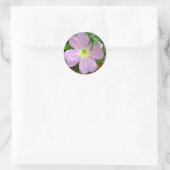 Sticker Rond Primier rose du soir fleur sauvage (Sac)