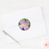 Sticker Rond Primier rose du soir fleur sauvage (Enveloppe)
