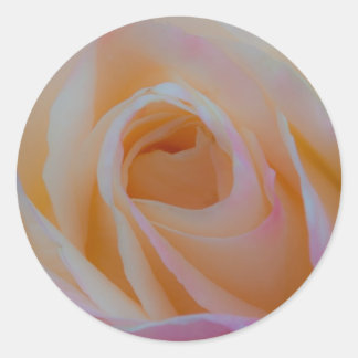 Sticker Rond Princesse Diana Rose