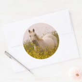 Sticker Rond Printemps (Enveloppe)