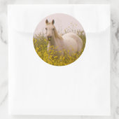 Sticker Rond Printemps (Sac)