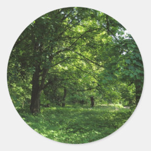 Sticker Rond Printemps dans les bois 01