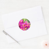 Sticker Rond Prirose (Enveloppe)