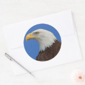 Sticker Rond Profil d'un aigle à tête blanche adulte (Enveloppe)