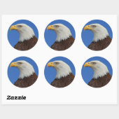 Sticker Rond Profil d'un aigle à tête blanche adulte (Feuille)