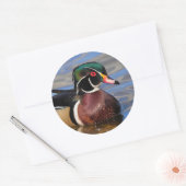 Sticker Rond Profil d'un beau canard à bois sur l'eau (Enveloppe)