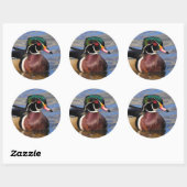 Sticker Rond Profil d'un beau canard à bois sur l'eau (Feuille)